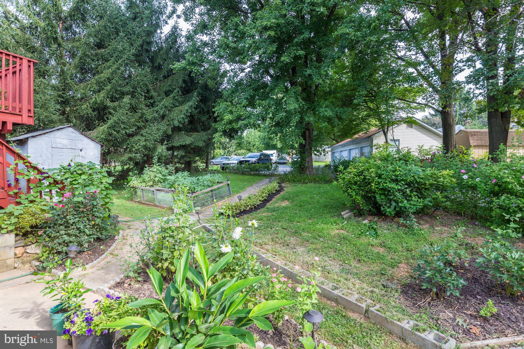 11501 Clopper Road Gaithersburg, MD 20878 - Photo 29 of 30 Flower & vegetable garden