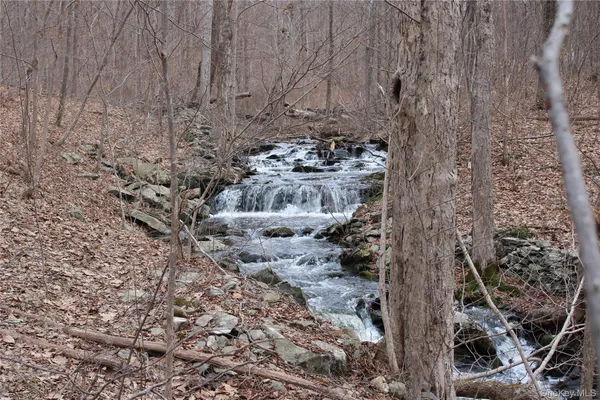 a view of a dry yard with trees