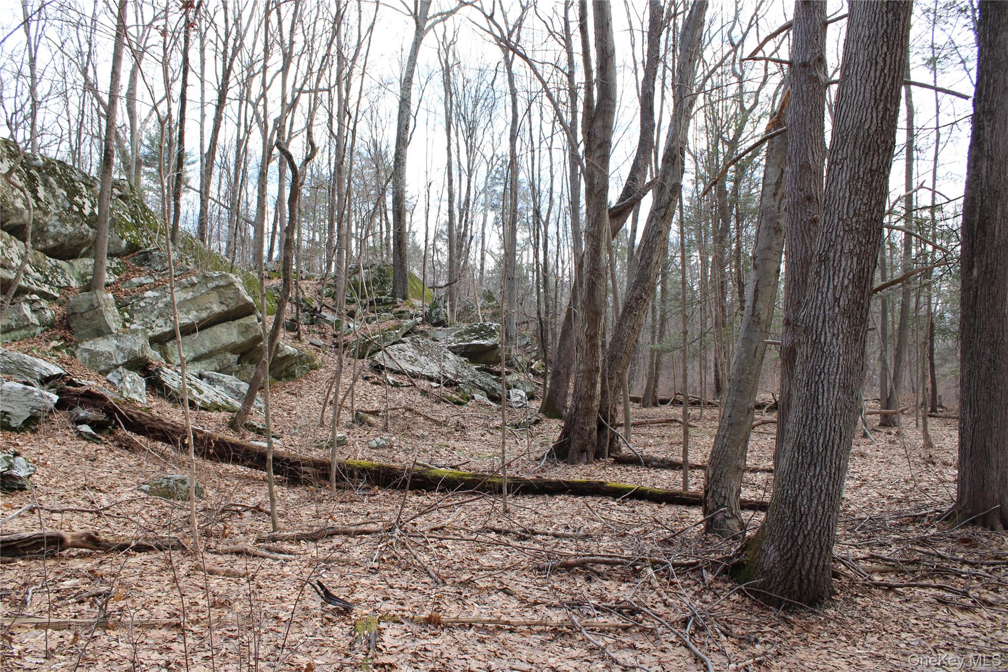19 South Cross Road Staatsburg, NY 12580 - Photo 11 of 29 a view of a backyard of the house