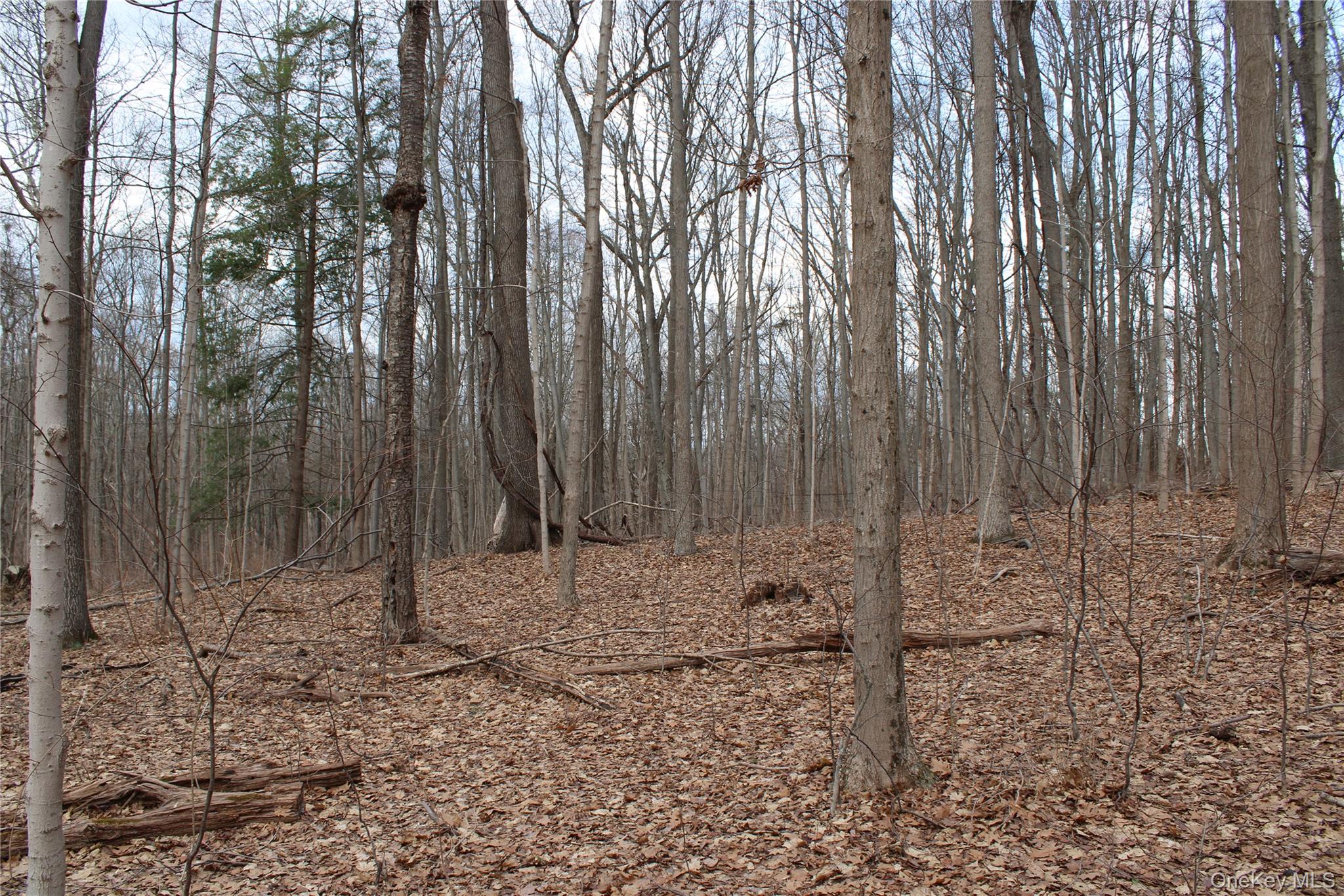 19 South Cross Road Staatsburg, NY 12580 - Photo 14 of 29 a view of wooden fence