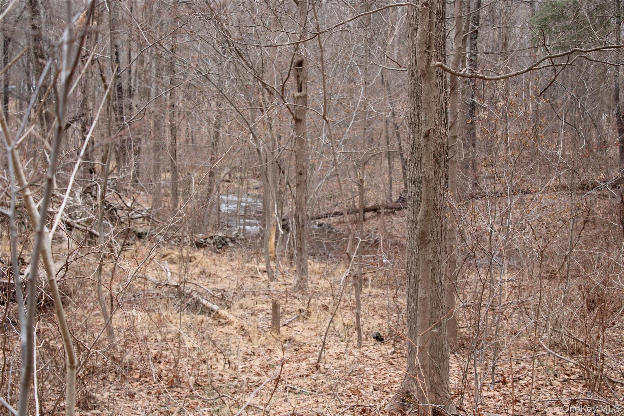 19 South Cross Road Staatsburg, NY 12580 - Photo 15 of 29 a close up of a white marble wall