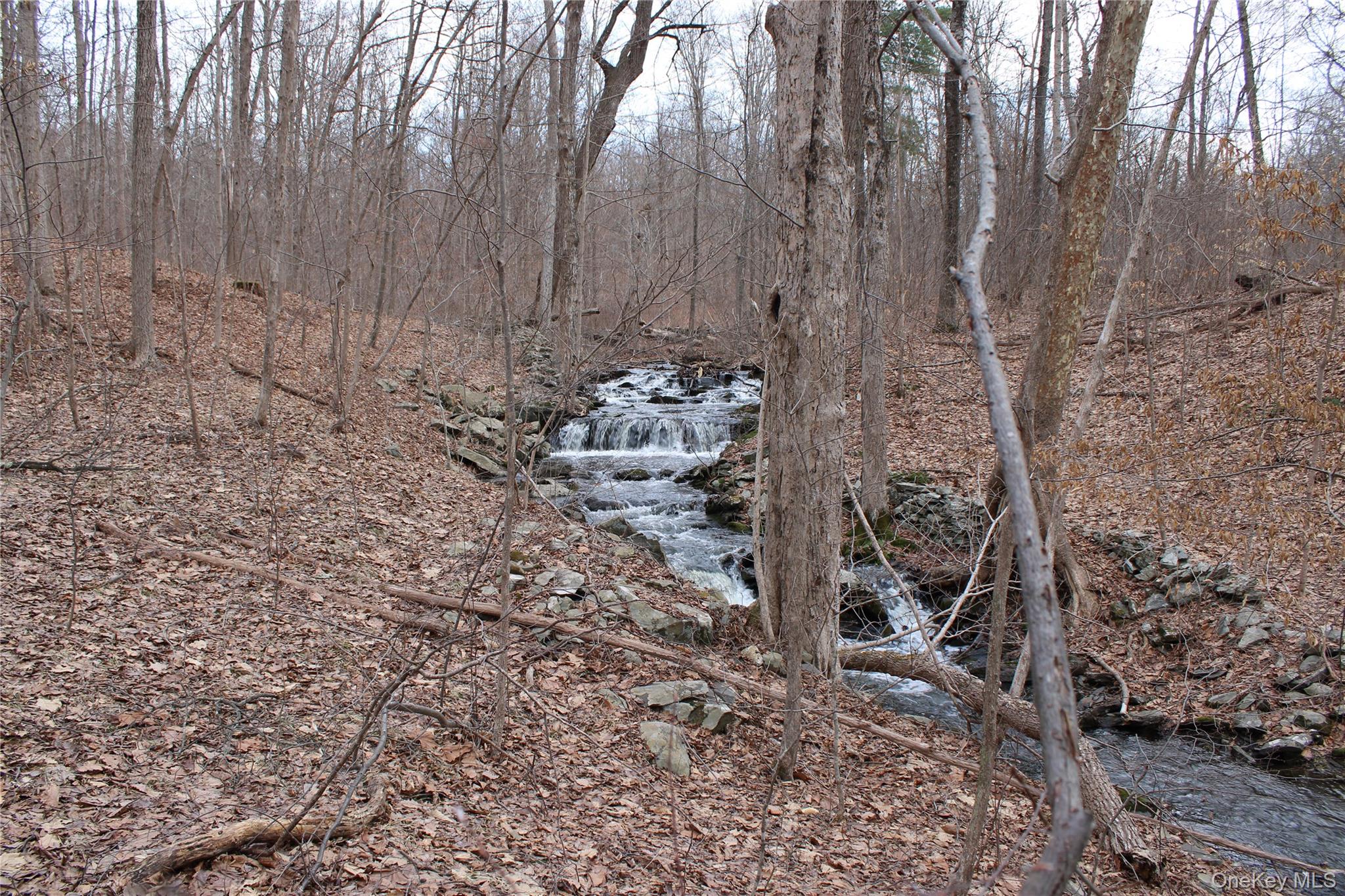 19 South Cross Road Staatsburg, NY 12580 - Photo 16 of 29 a view of a backyard of the house