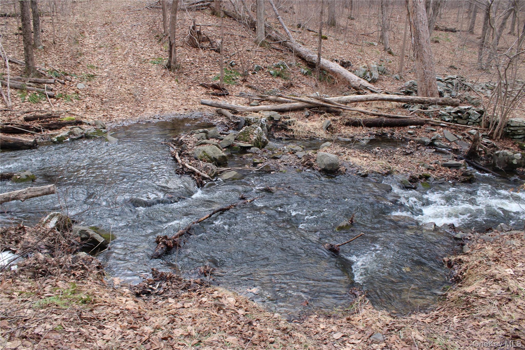 19 South Cross Road Staatsburg, NY 12580 - Photo 18 of 29 a view of a dry space with lots of trees