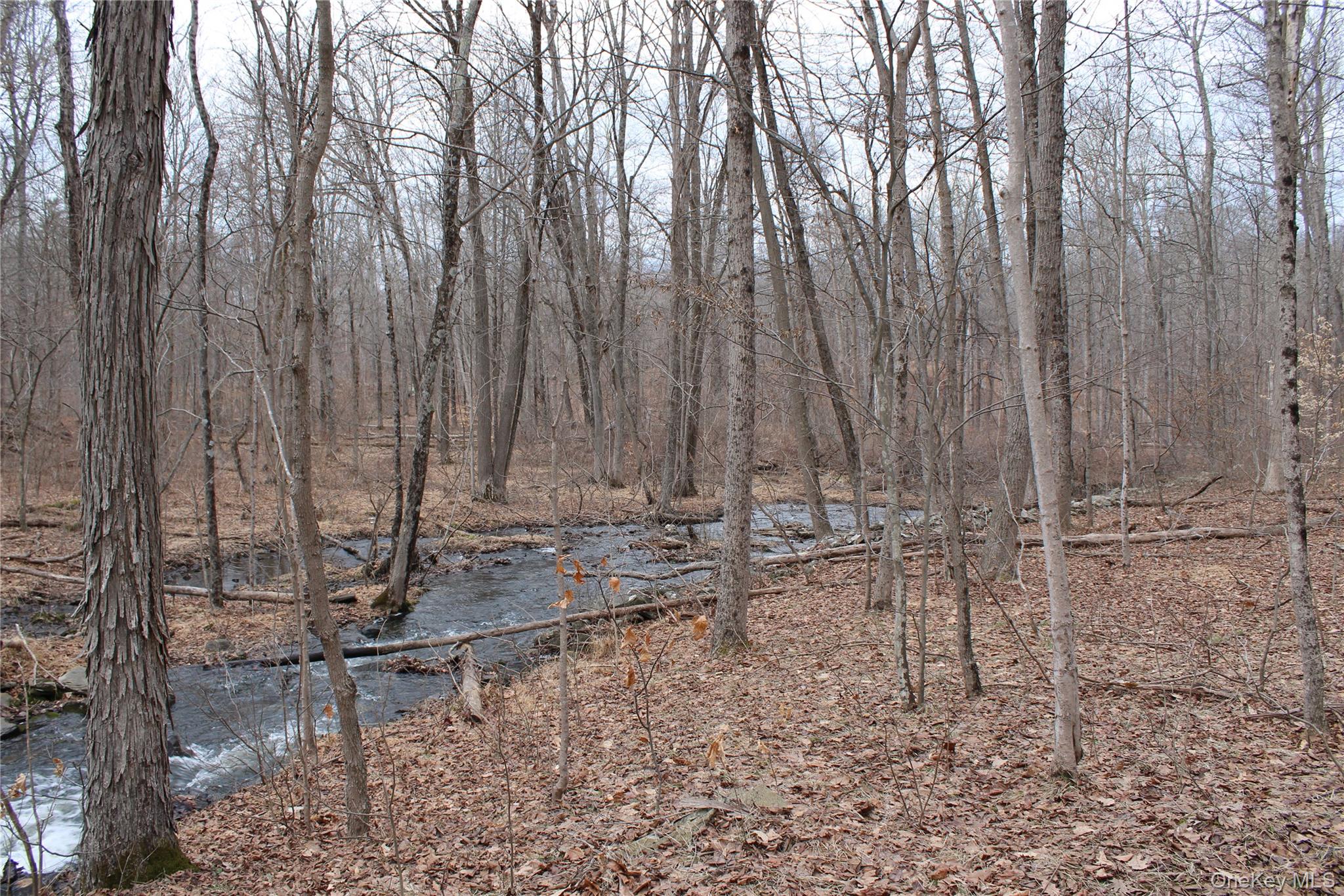 19 South Cross Road Staatsburg, NY 12580 - Photo 19 of 29 a view of wooden fence