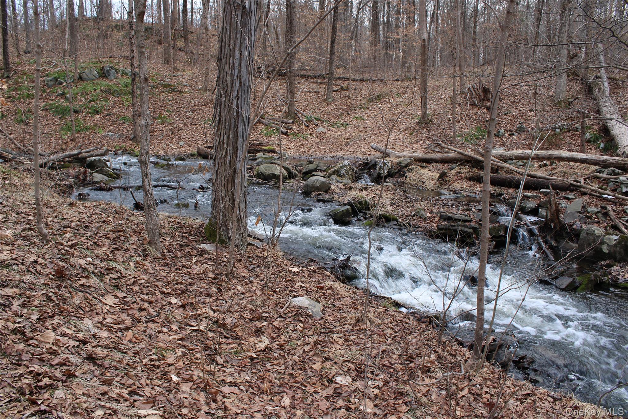 19 South Cross Road Staatsburg, NY 12580 - Photo 20 of 29 a view of a yard with trees in the background