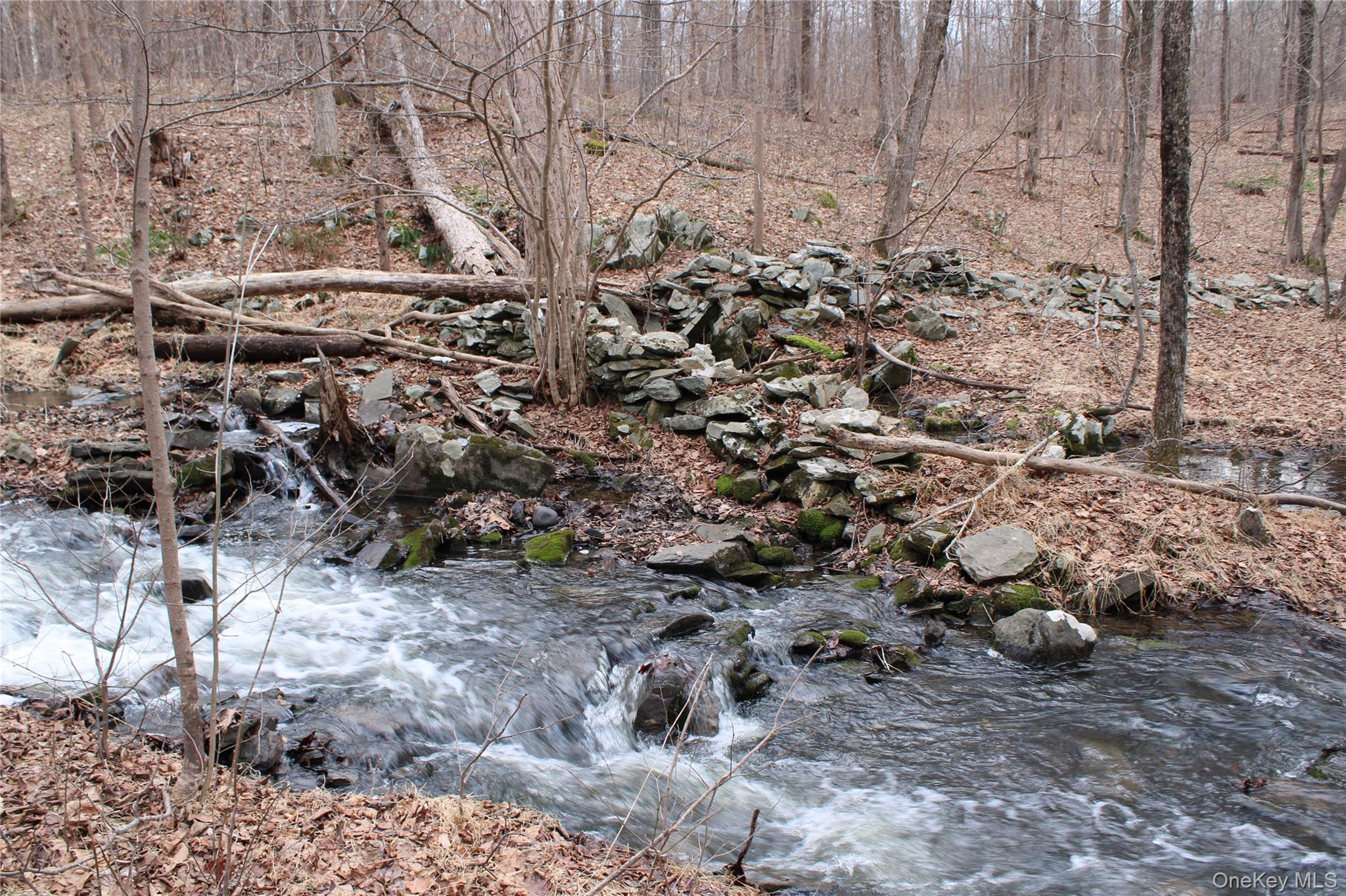 19 South Cross Road Staatsburg, NY 12580 - Photo 21 of 29 a view of outdoor space