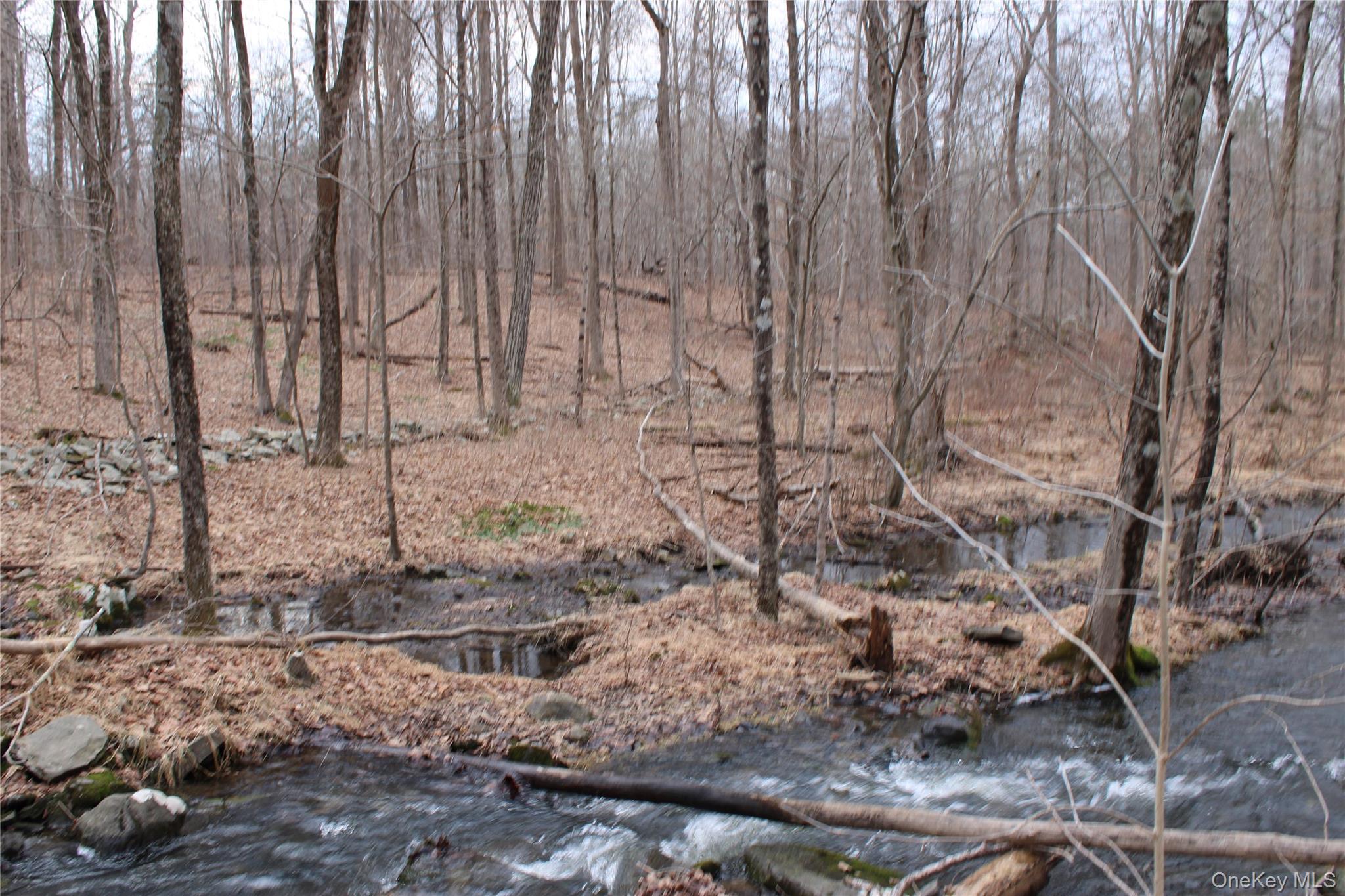 19 South Cross Road Staatsburg, NY 12580 - Photo 22 of 29 a view of a backyard of the house