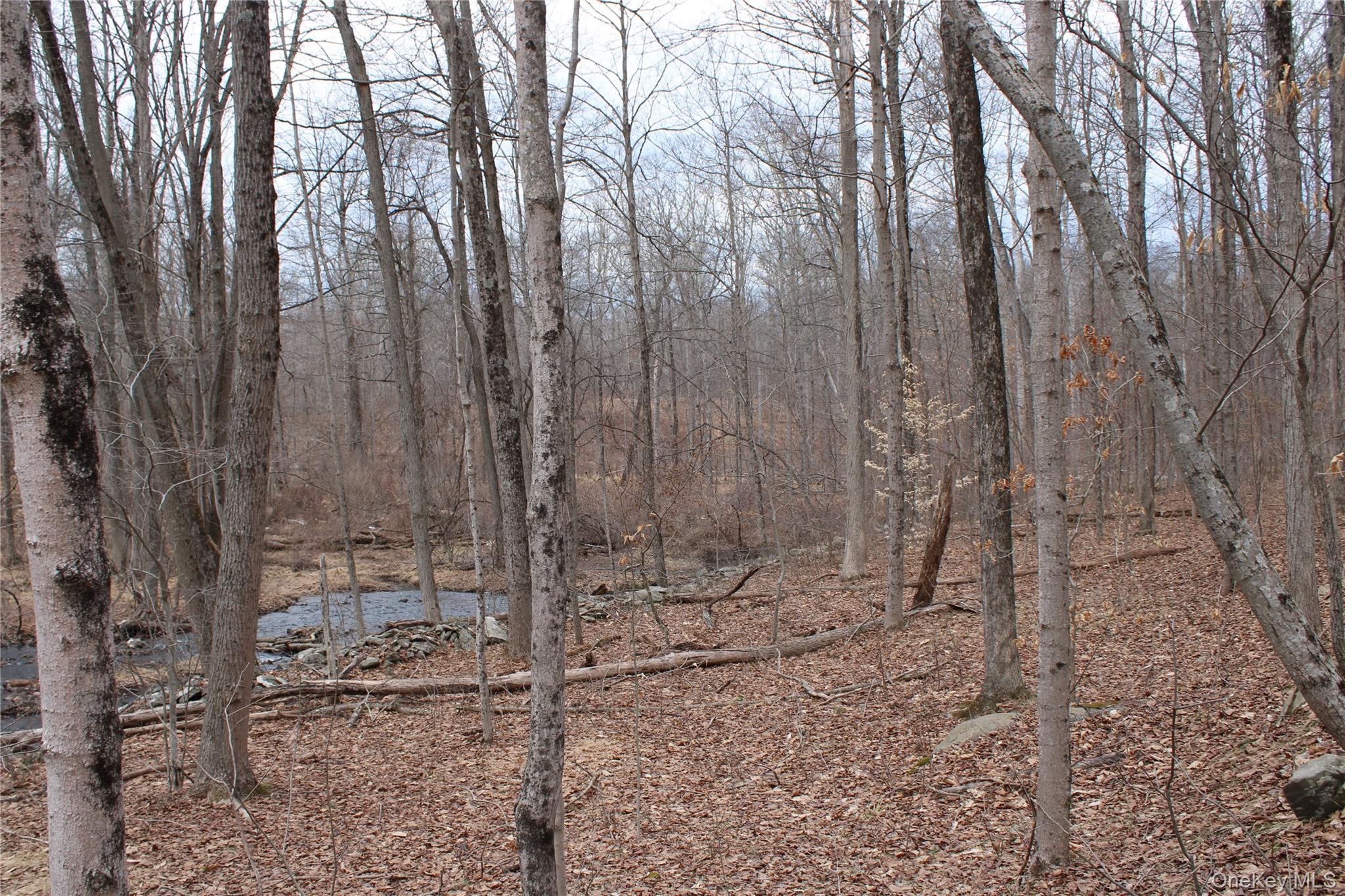 19 South Cross Road Staatsburg, NY 12580 - Photo 23 of 29 a view of a pathway with a yard