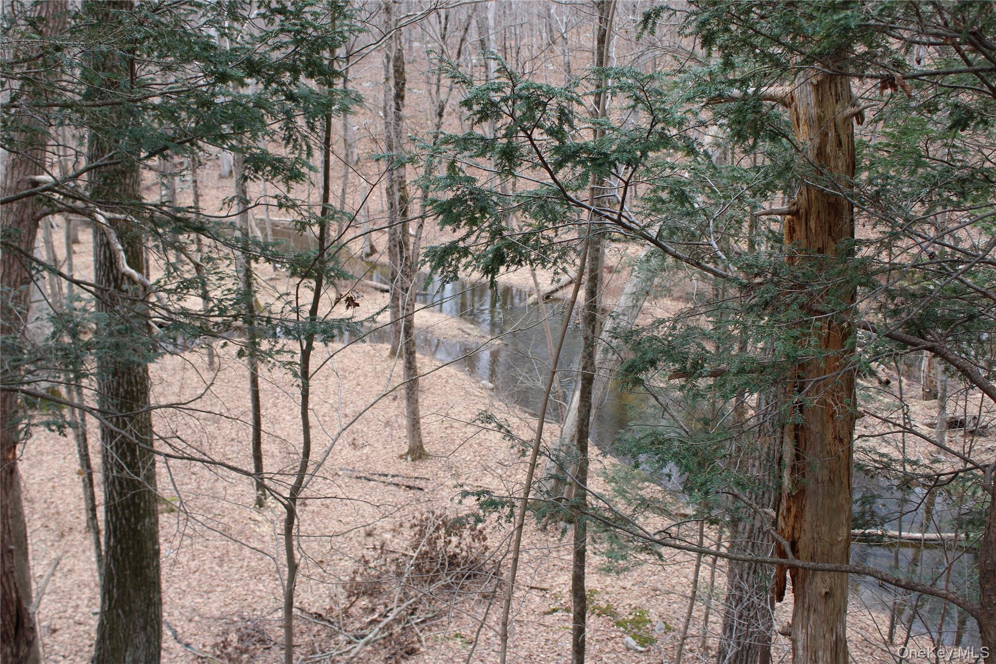 19 South Cross Road Staatsburg, NY 12580 - Photo 26 of 29 a view of covered with trees