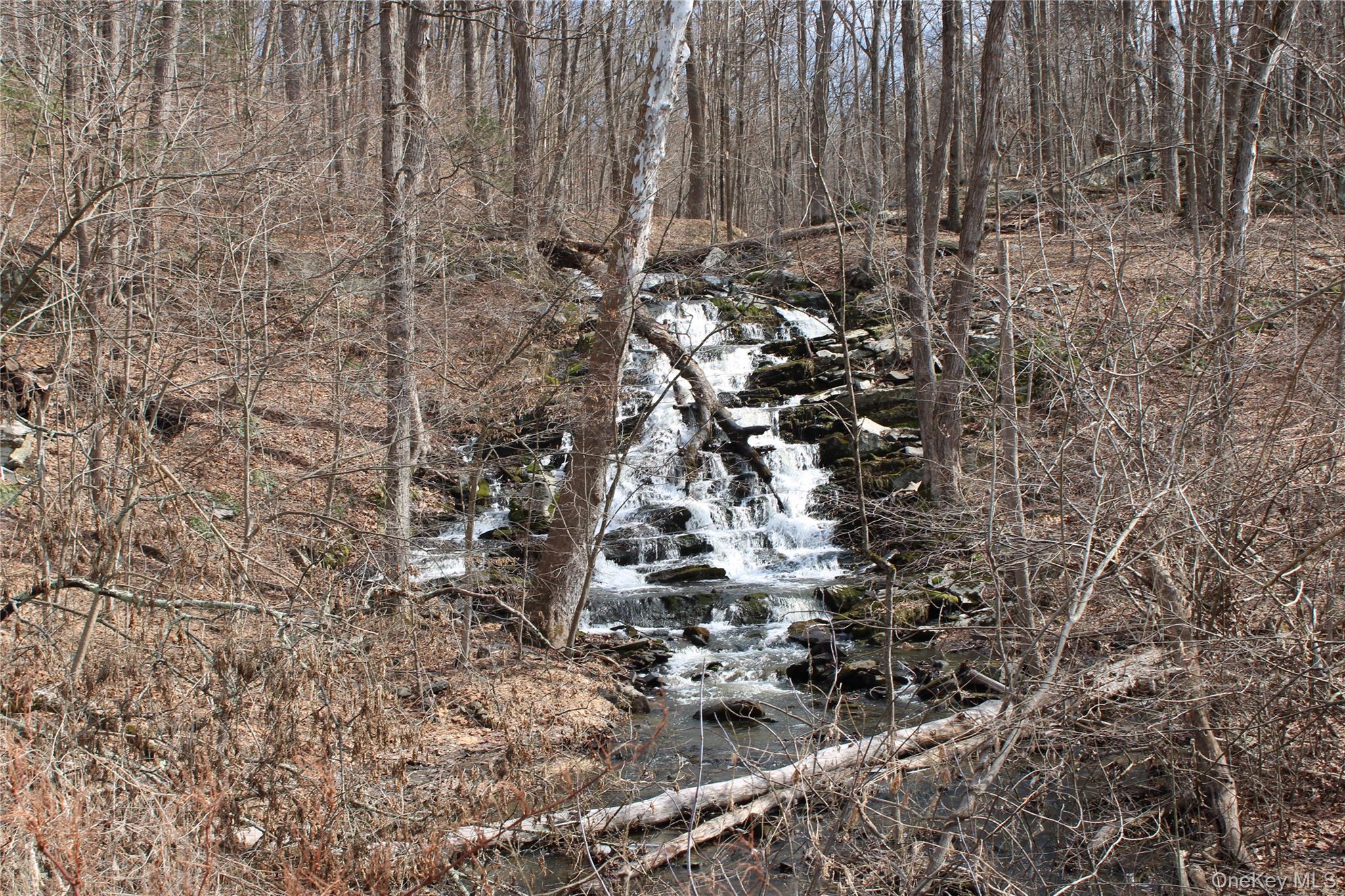 19 South Cross Road Staatsburg, NY 12580 - Photo 3 of 29 a view of a forest with wooden fence