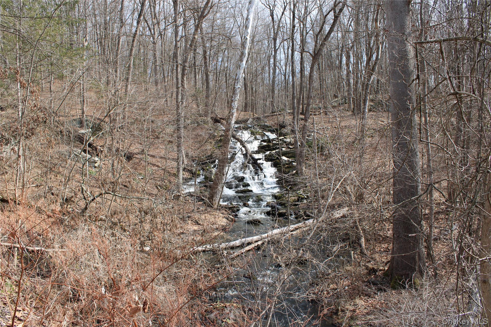 19 South Cross Road Staatsburg, NY 12580 - Photo 4 of 29 a view of a wooden wall with large trees