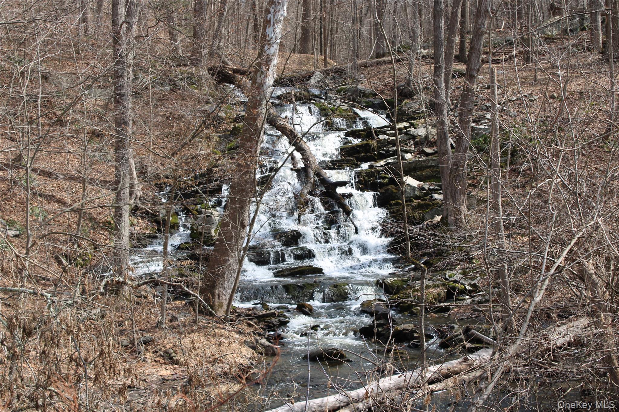 19 South Cross Road Staatsburg, NY 12580 - Photo 5 of 29 a view of outdoor space
