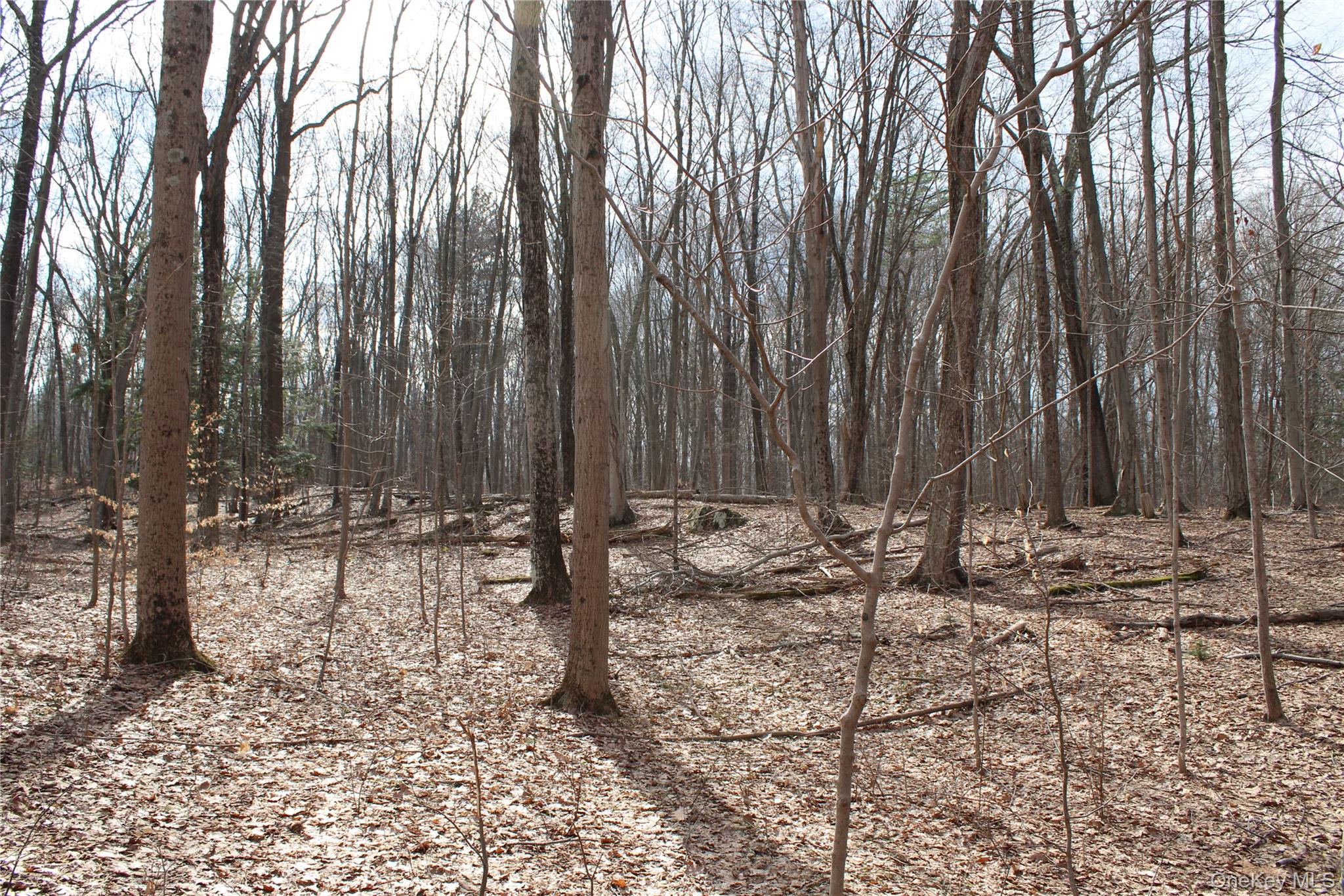 19 South Cross Road Staatsburg, NY 12580 - Photo 6 of 29 a view of outdoor space with sitting area