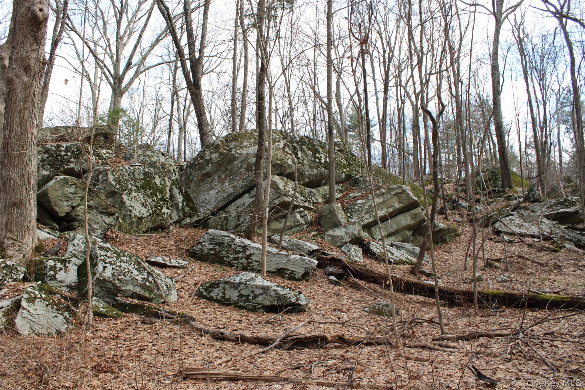 19 South Cross Road Staatsburg, NY 12580 - Photo 10 of 29 a backyard of a house with lots of green space