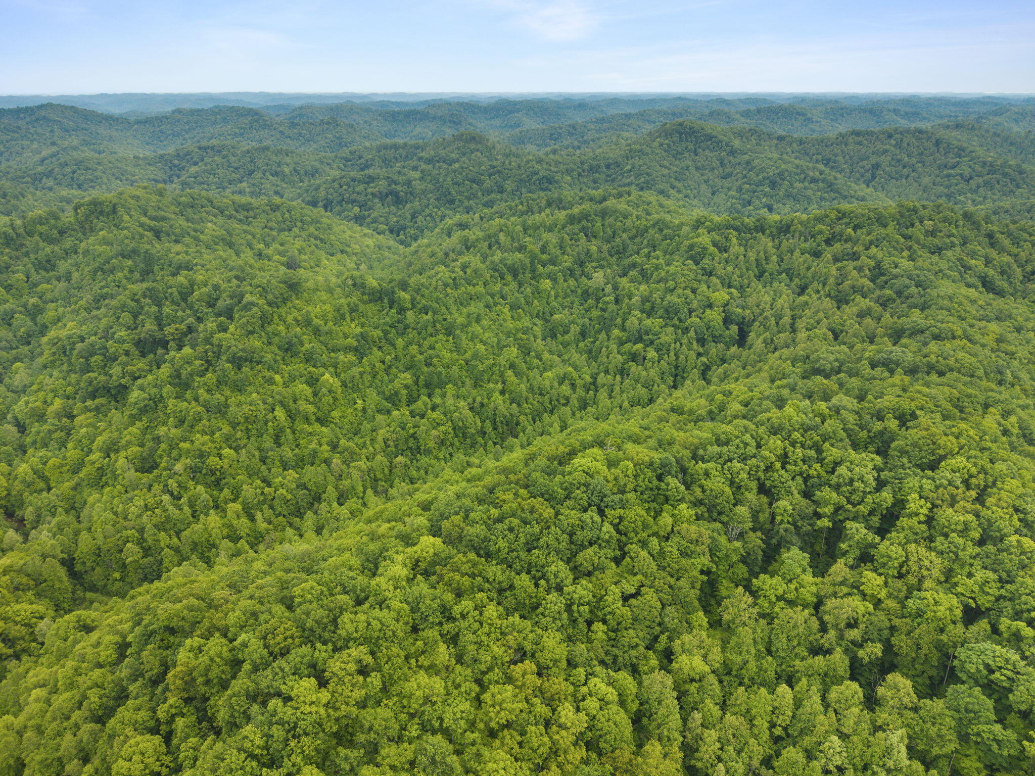 0 Jetts Creek Road Jackson, KY 41339 - Photo 17 of 31 16-web-or-mls-DJI_20260505153140_0041_D