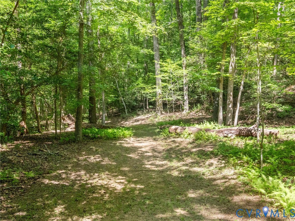 3613 Archers Ridge Powhatan, VA 23139 - Photo 67 of 74