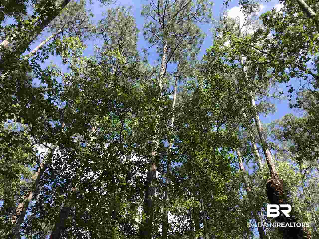 0 Boynton Road Elberta, AL 36530 - Photo 9 of 29 Gallery Image 9
