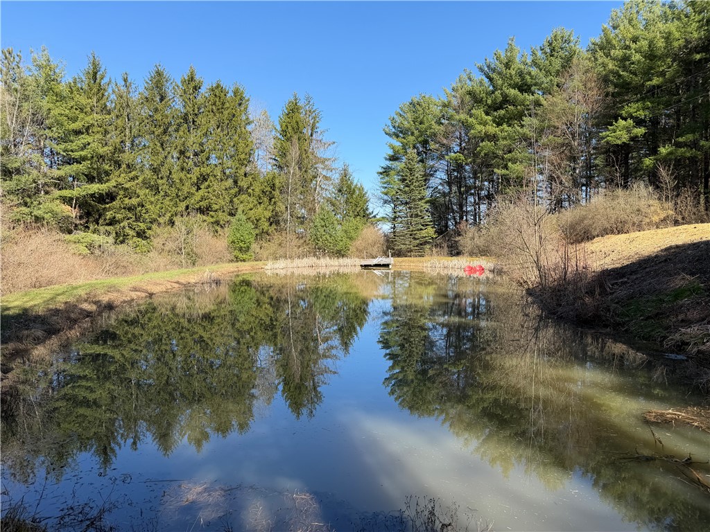 5310 County Rte 10A Cameron, NY 14819 - Photo 19 of 28