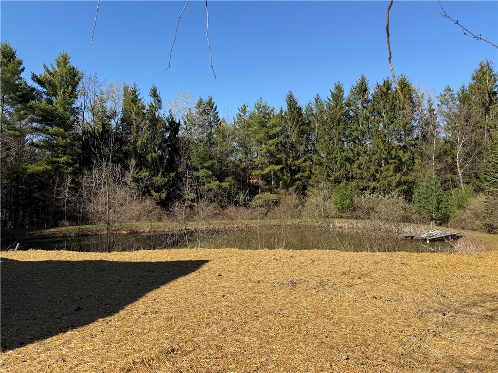 5310 County Rte 10A Cameron, NY 14819 - Photo 20 of 28