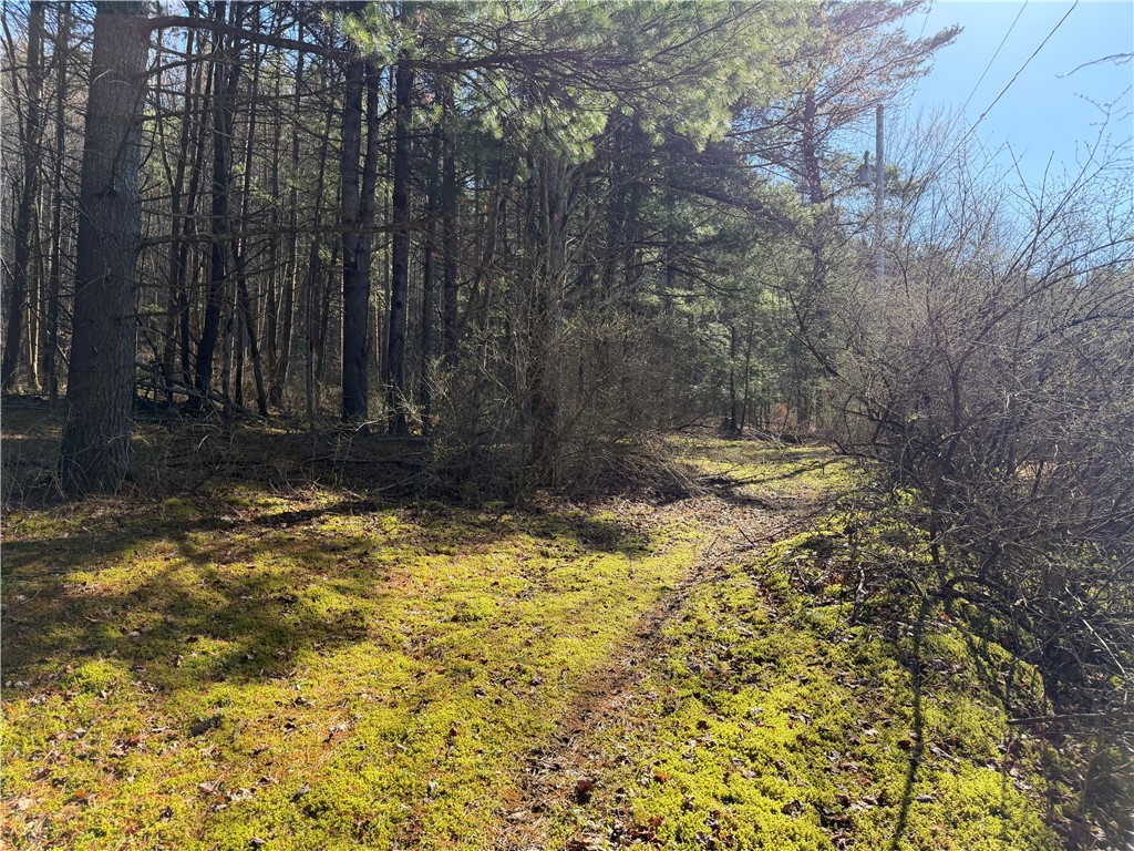 5310 County Rte 10A Cameron, NY 14819 - Photo 22 of 28