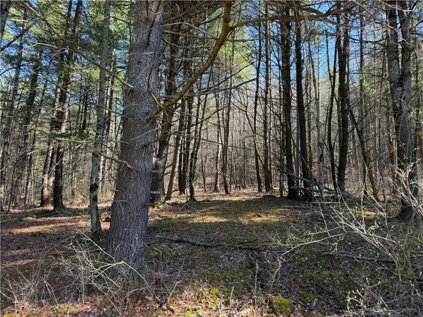 $175,000 | 5310 County Rte 10A, Cameron, NY 14819