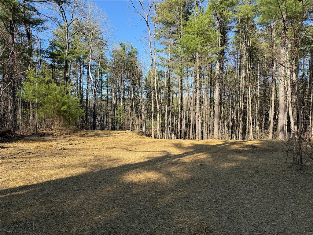 5310 County Rte 10A Cameron, NY 14819 - Photo 24 of 28