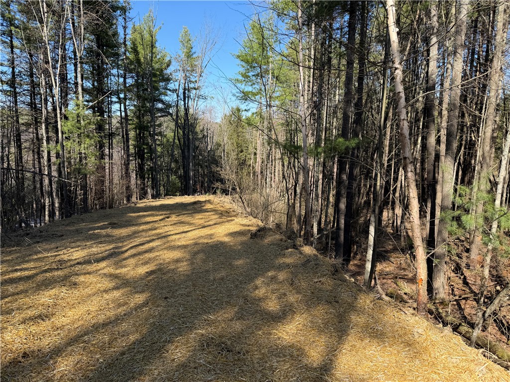 5310 County Rte 10A Cameron, NY 14819 - Photo 25 of 28