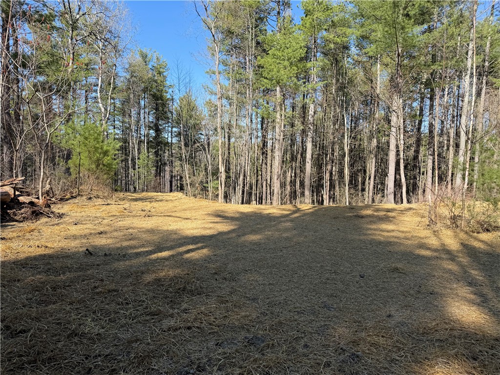 5310 County Rte 10A Cameron, NY 14819 - Photo 26 of 28