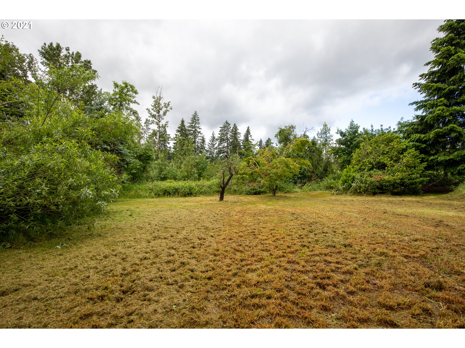 0 Southeast Roots Road Milwaukie, OR 97267 - Photo 6 of 17 Gallery Image 6