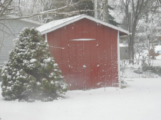 133 East Chicago Road Coldwater, MI 49036 - Photo 5 of 28 DSCN1341