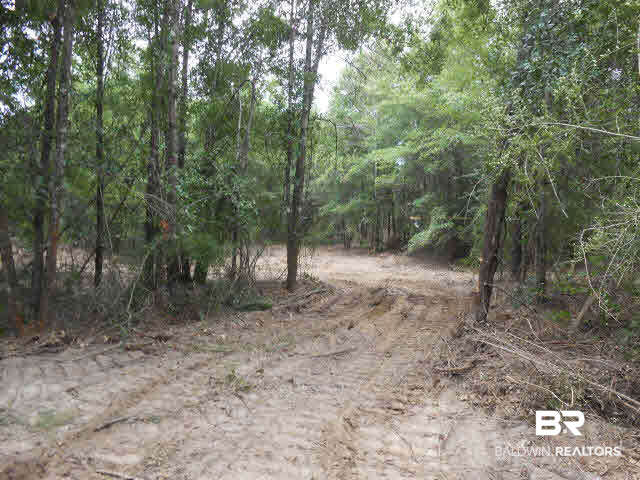 8 Whiting Acres Lane Milton, FL 32570 - Photo 1 of 1