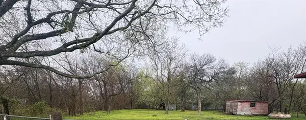 a view of a field with large trees