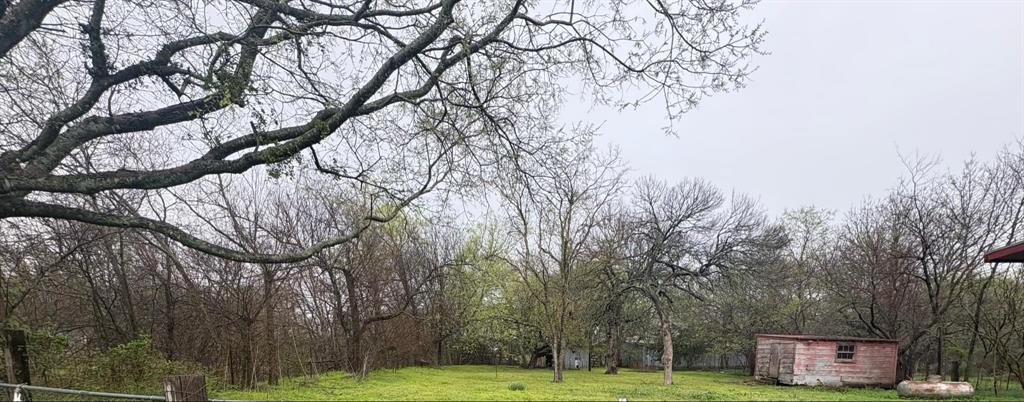 2998 County Road 658 Farmersville, TX 75442 - Photo 19 of 26 a view of a field with large trees