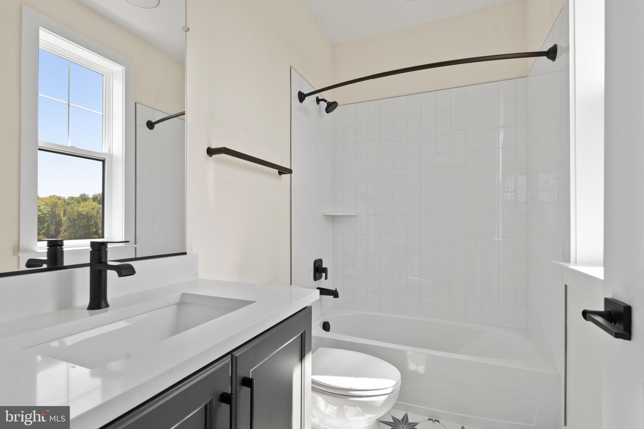 21331 Big Woods Road Dickerson, MD 20842 - Photo 50 of 79 a bathroom with a sink a toilet and a shower