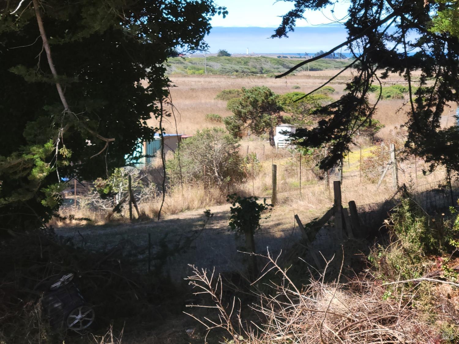 43751 Crispin Road Manchester, CA 95459 - Photo 3 of 39 Point Arena Lighthouse in the distance - this view could be opened up considerably - most of the trees are on this lot.