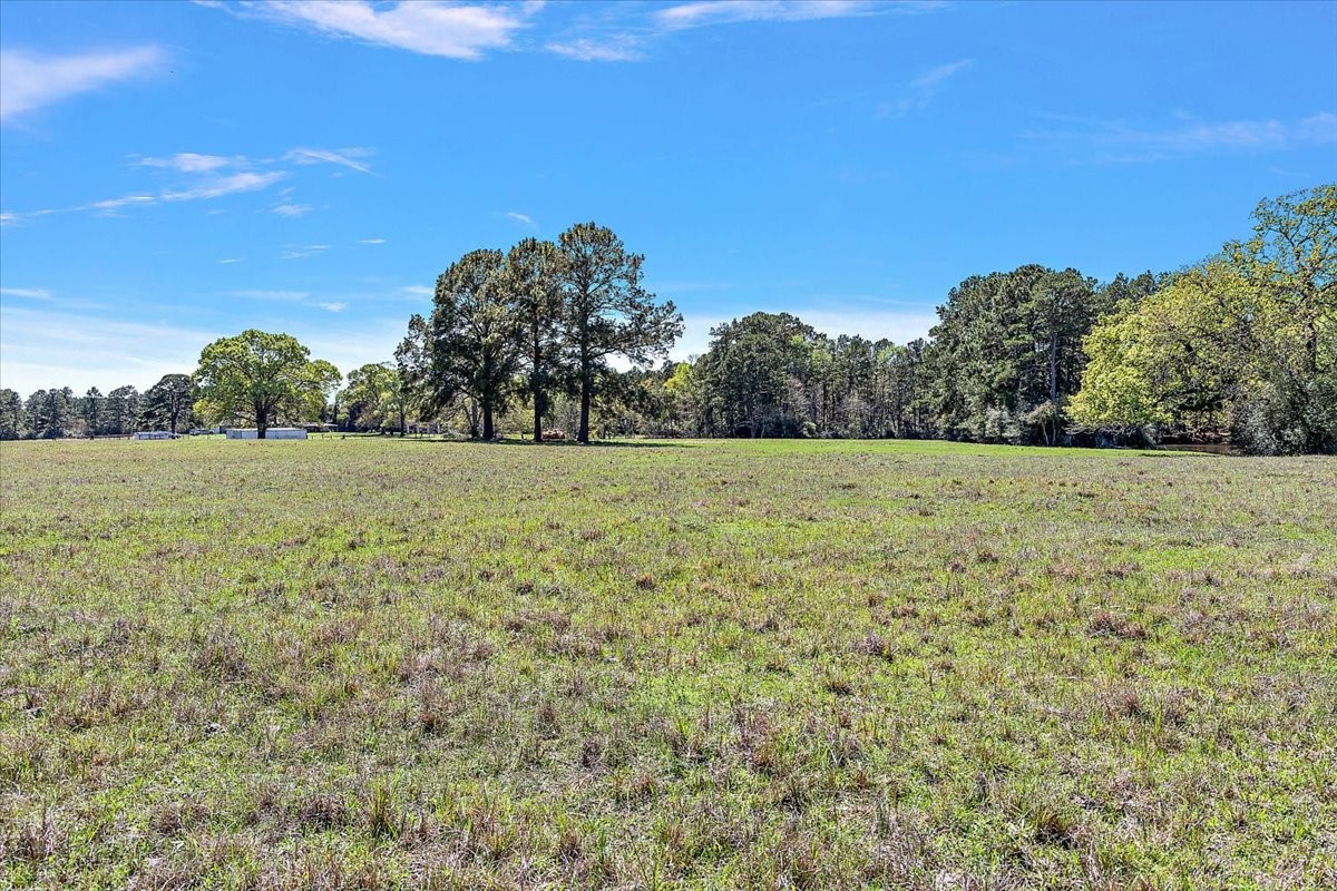 394 Farm To Market 230 Trinity, TX 75862 - Photo 46 of 50 a view of a field with trees in the background