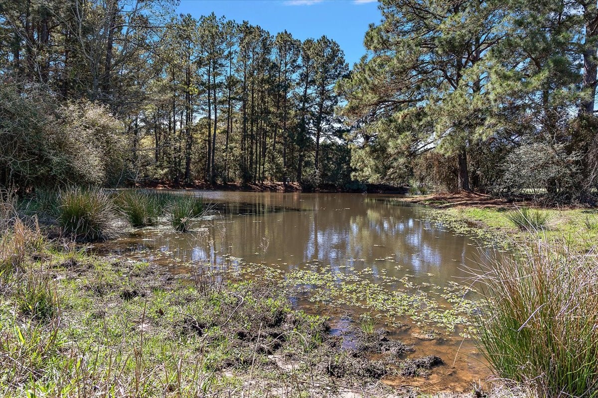 394 Farm To Market 230 Trinity, TX 75862 - Photo 47 of 50 a body of water with a tree in the background