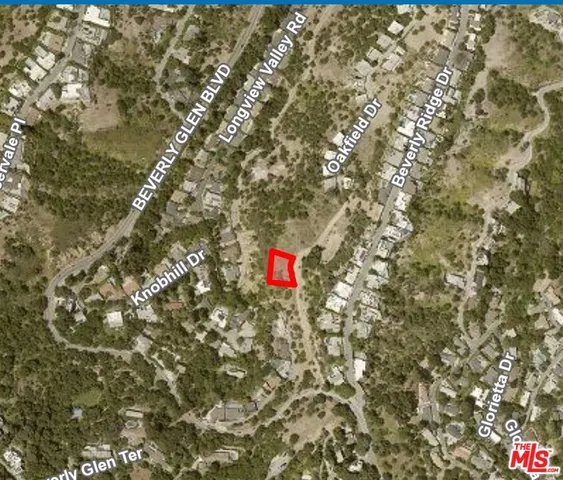 a flag is sitting in the middle of a tree