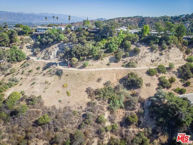 a view of a dry yard with trees and bushes