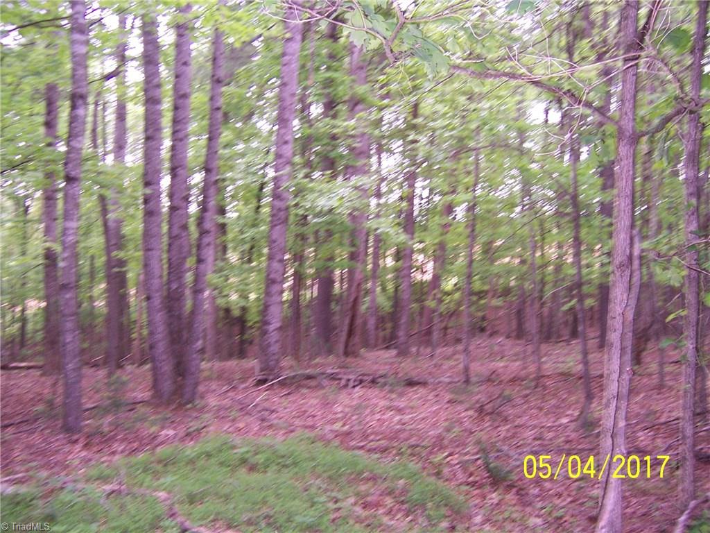 10.59-acres Regal Road State Road, NC 28676 - Photo 11 of 16 More of the hardwood trees on the property.