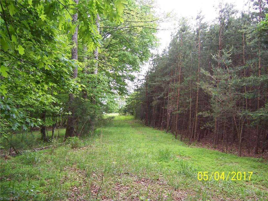 10.59-acres Regal Road State Road, NC 28676 - Photo 12 of 16 This photo shows the 5 acres parcel with the thick pine growth. The pines need to be removed for a building site. Mature hardwood trees are on the left in this photo.