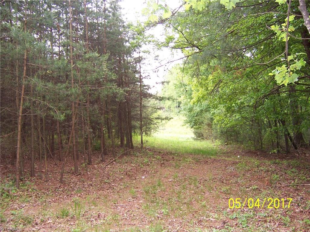 10.59-acres Regal Road State Road, NC 28676 - Photo 13 of 16 Gallery Image 13