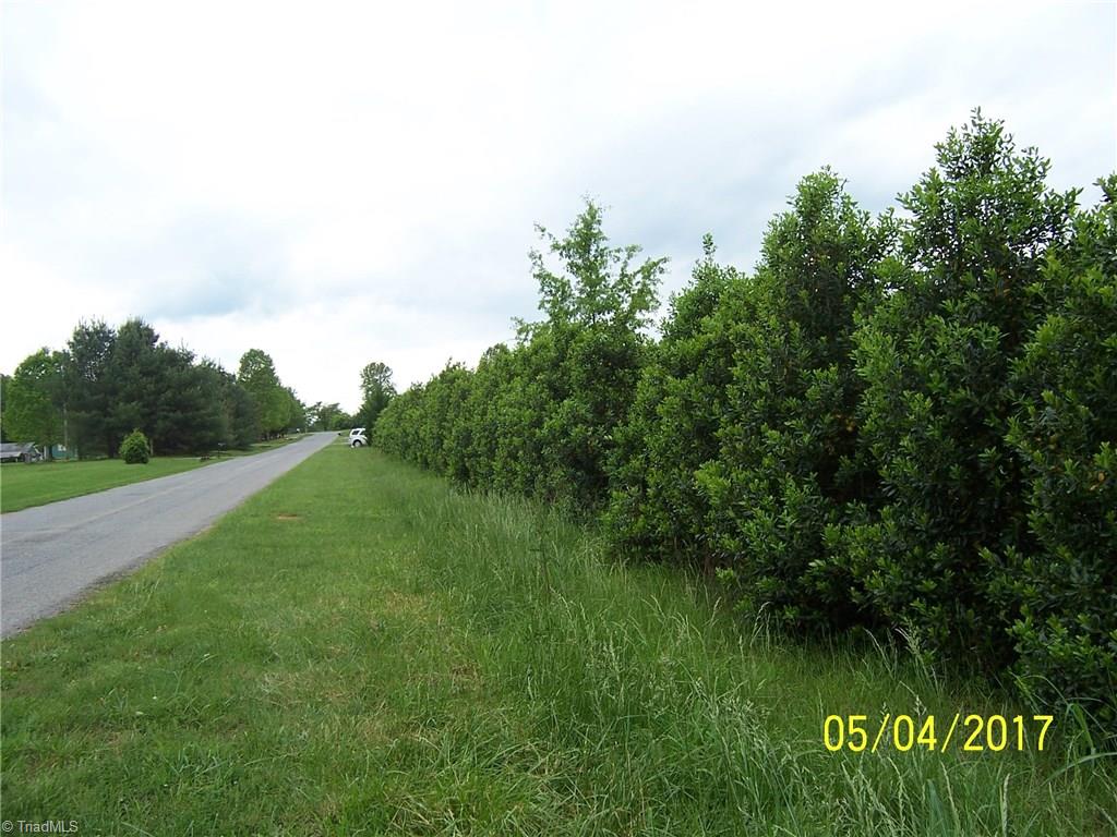 10.59-acres Regal Road State Road, NC 28676 - Photo 16 of 16 Regal Road looking south with about 550 ft. road frontage.