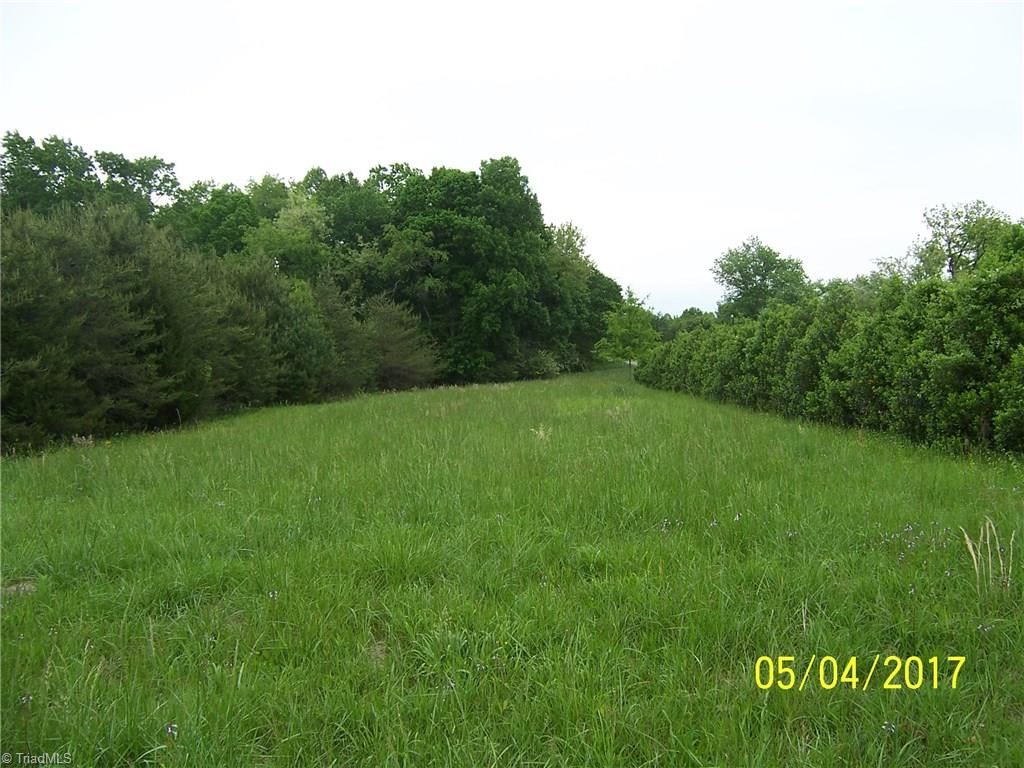 10.59-acres Regal Road State Road, NC 28676 - Photo 5 of 16 This view shows the trees along Regal Rd to the right. The area on the left is about an acre of thick growth of pines. After clearing the pines a good building site would be available.