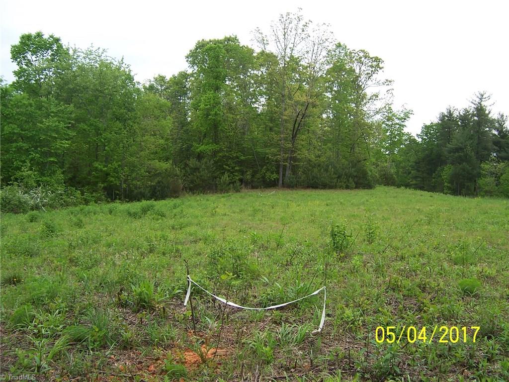 10.59-acres Regal Road State Road, NC 28676 - Photo 10 of 16 The flags near and in the distance represent the approved septic system area if the 10 acres is divided into two parcels with 5 acres each.