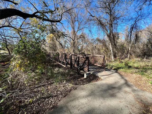 a view of a yard with plants and trees