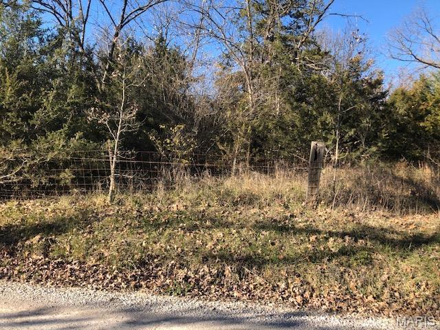 1101 McIntosh Hill Road Foley, MO 63347 - Photo 2 of 2