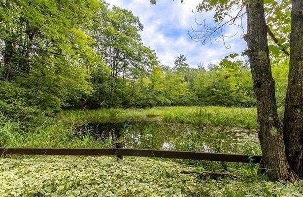 6613 South Degerman Road Lake Nebagamon, WI 54849 - Photo 8 of 24