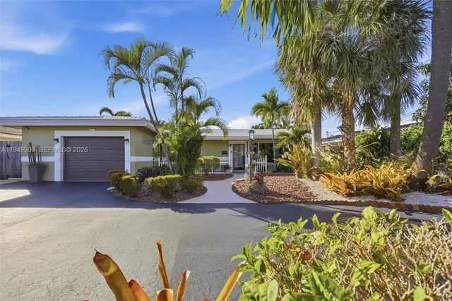a view of a backyard with plants and palm tree