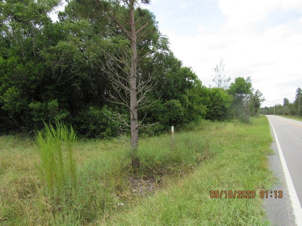 2 Wire Road Aiken, SC 29801 - Photo 3 of 7 Gallery Image 3